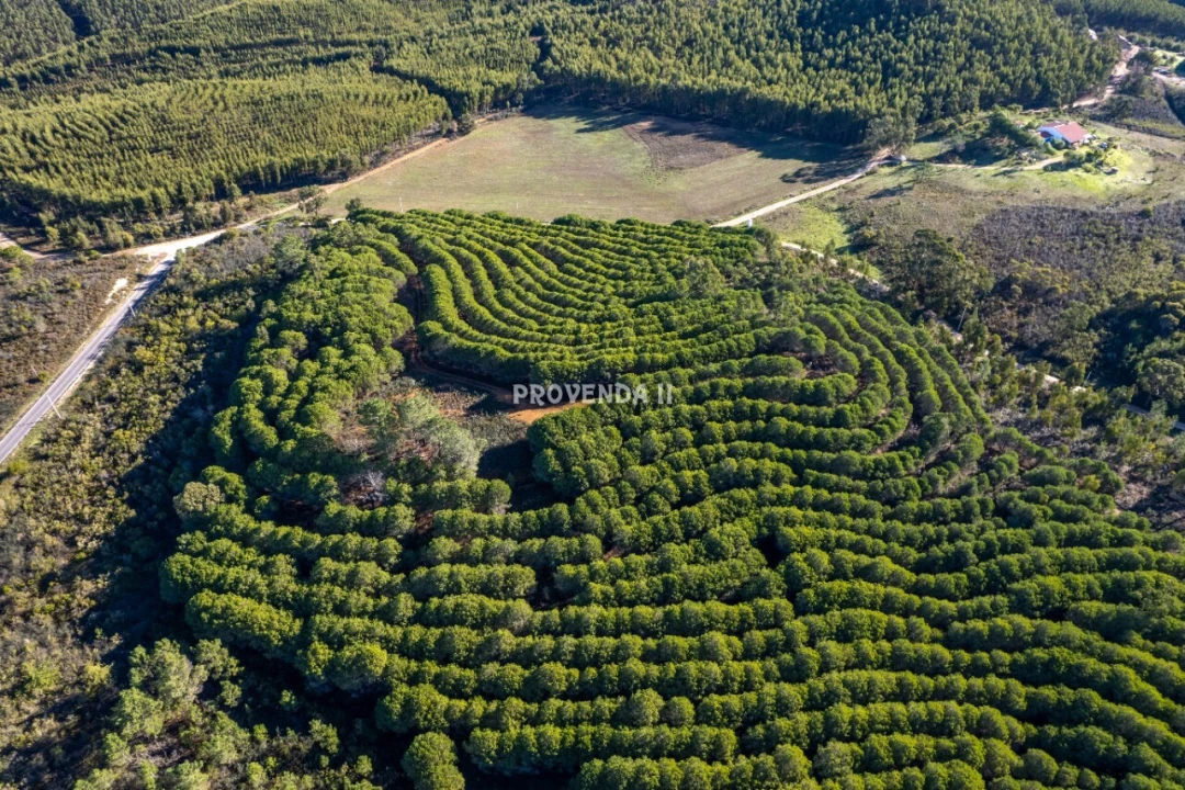 Negócio para Venda em Aljezur Foto 8