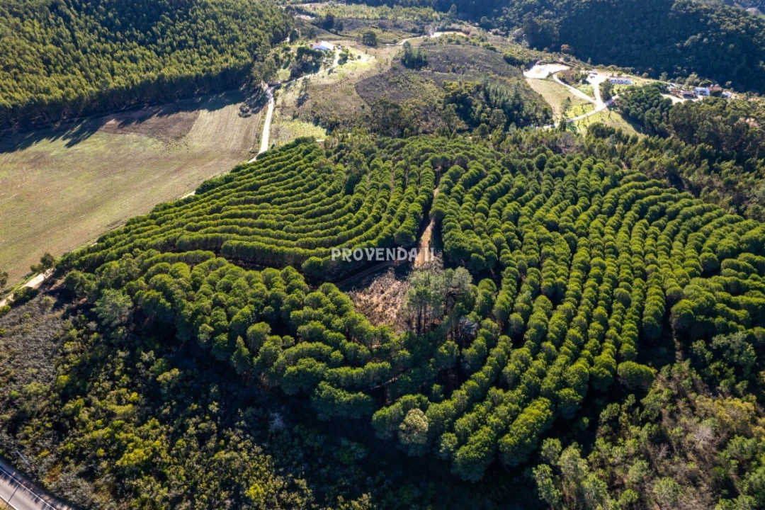Negócio para Venda em Aljezur Foto 9