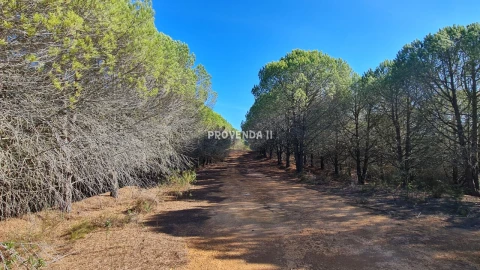 Negócio para Venda em Aljezur