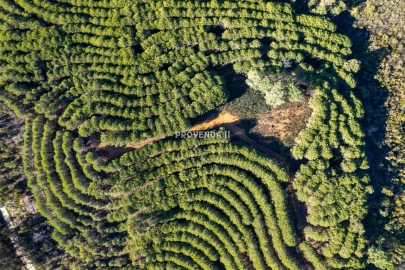 Negócio para Venda em Aljezur