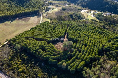 Negócio para Venda em Aljezur