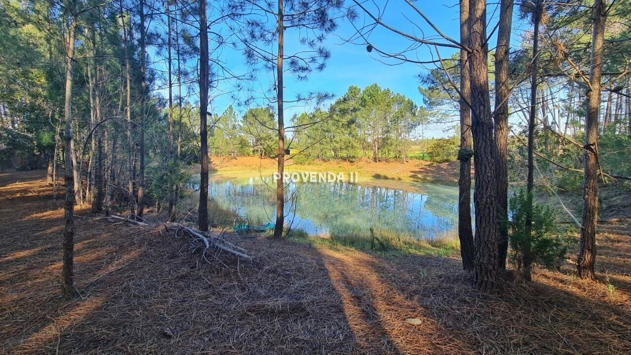Quinta T0 para Venda em Rogil Foto 3