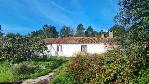 Quinta T0 para Venda em Rogil