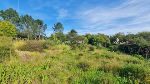Quinta T0 para Venda em Rogil