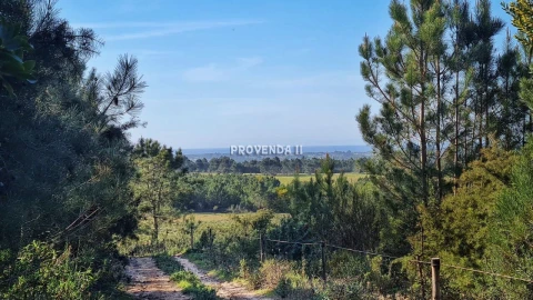 Quinta T0 para Venda em Rogil