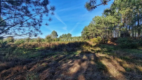 Quinta T0 para Venda em Rogil
