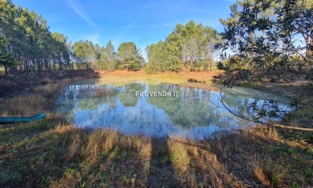 Quinta T0 para Venda em Rogil