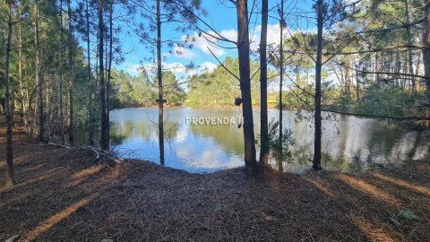 Quinta T0 para Venda em Rogil