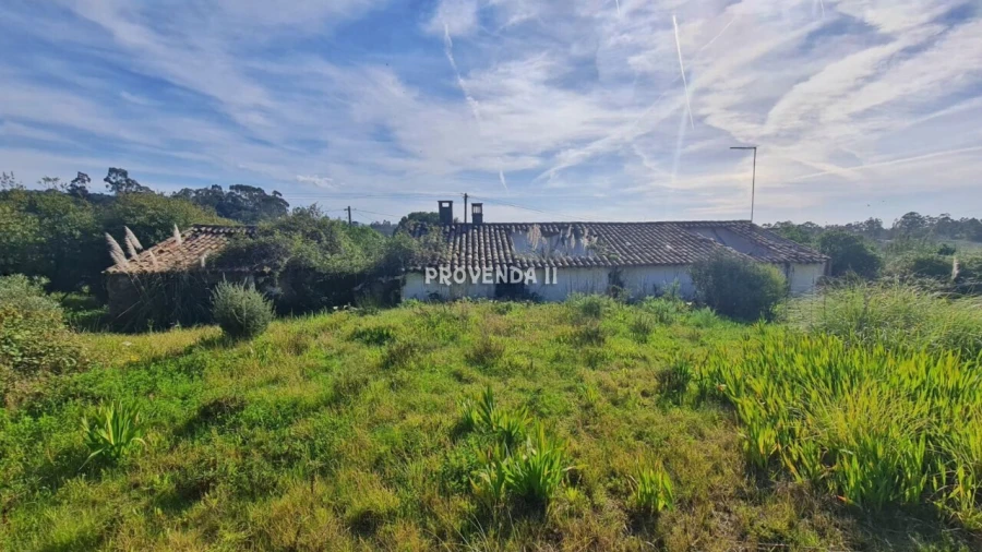 Quinta T0 para Venda em Rogil Foto 10