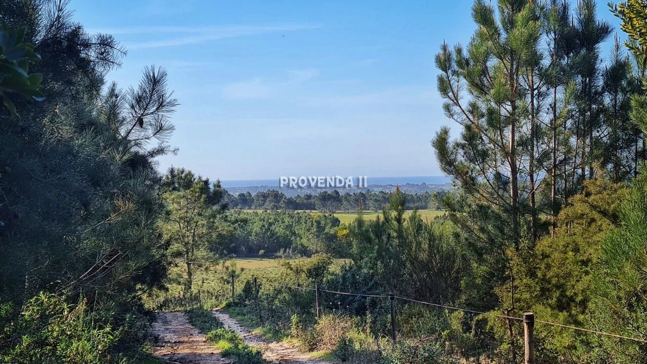 Quinta T0 para Venda em Rogil Foto 9