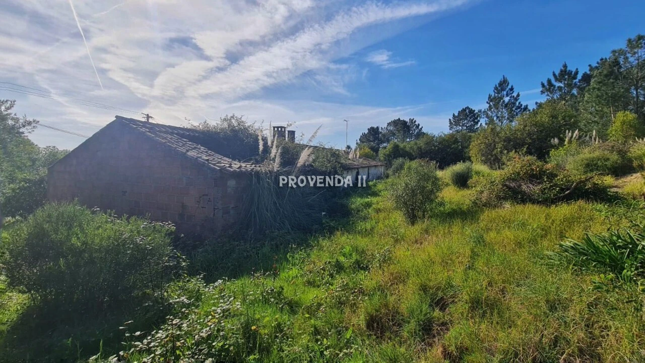 Quinta T0 para Venda em Rogil Foto 6