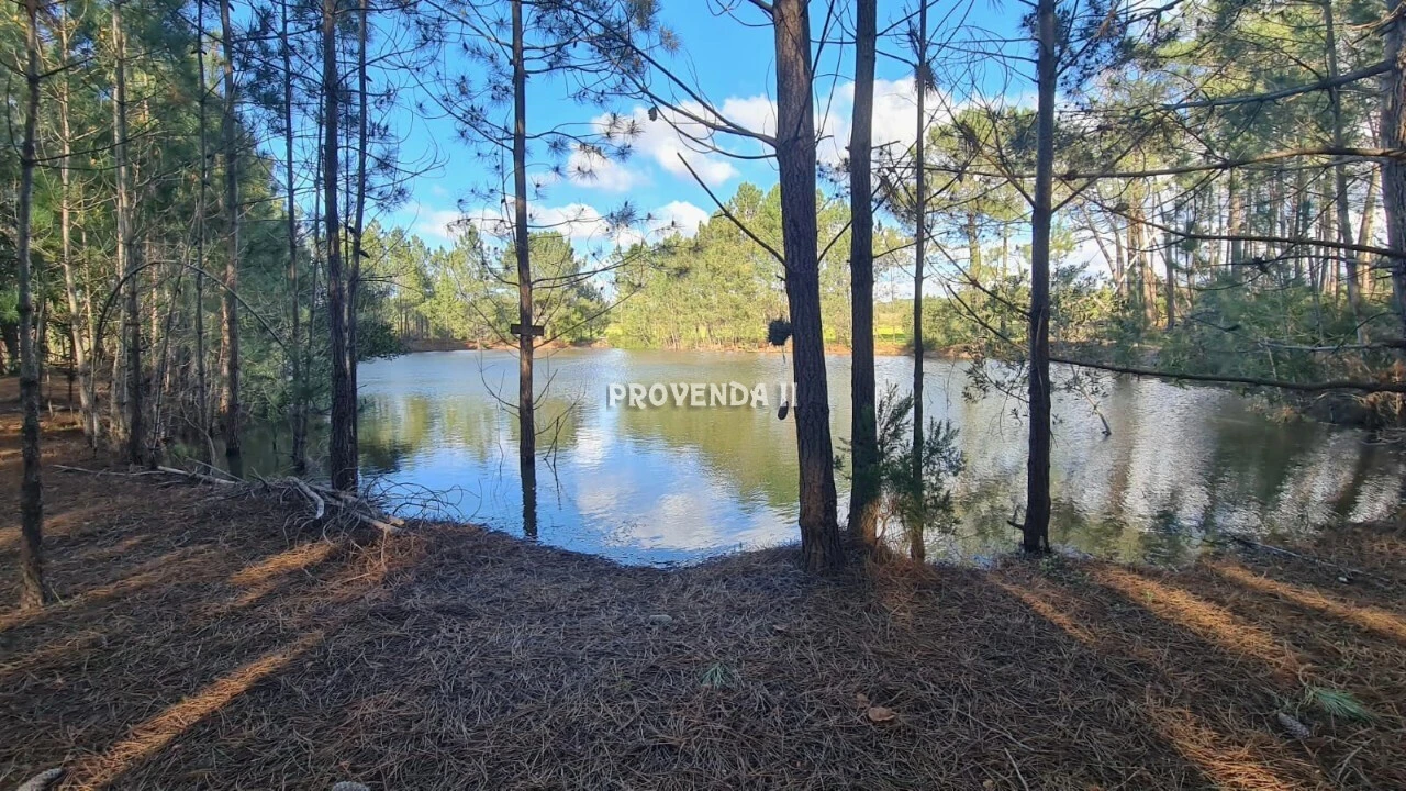 Quinta T0 para Venda em Rogil Foto 20