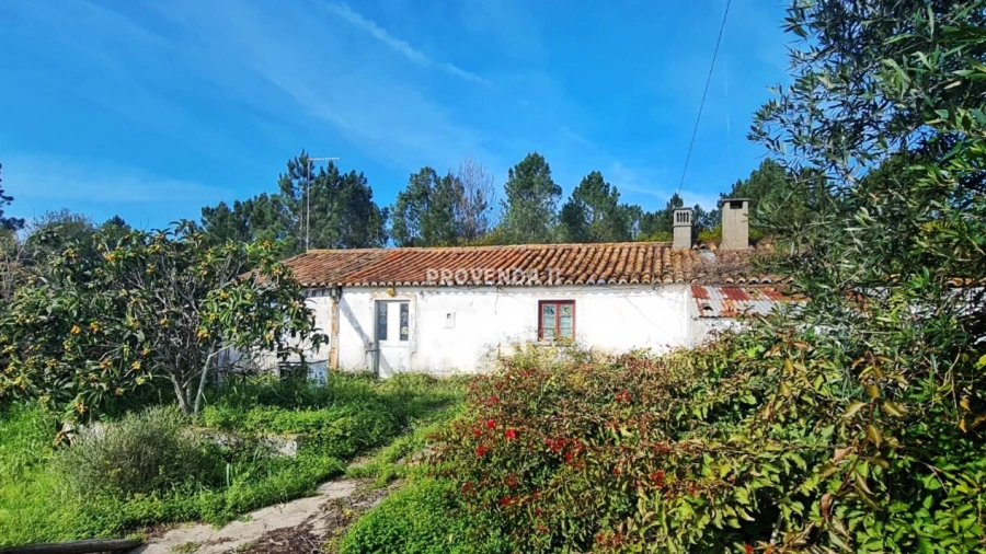 Quinta T0 para Venda em Rogil