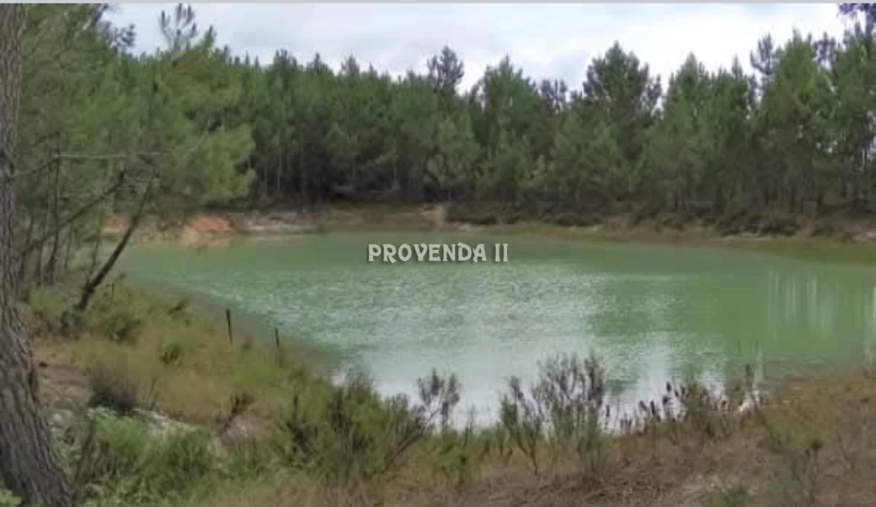 Quinta T0 para Venda em Rogil Foto 19