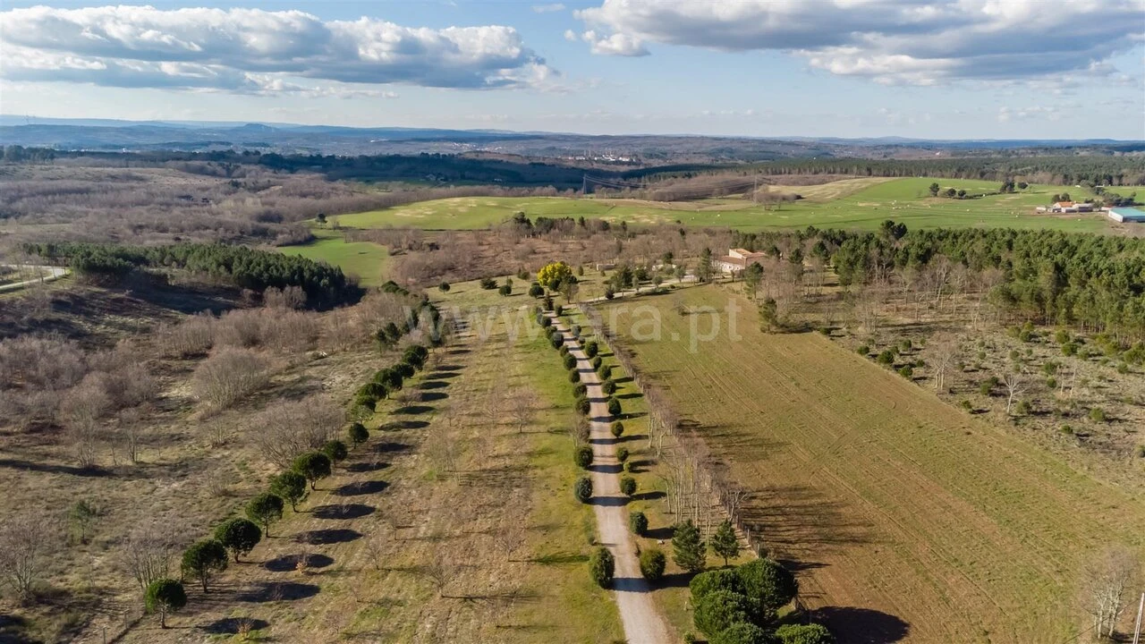 Moradia T5 para Venda em Sabugal e Aldeia de Santo António Foto 19