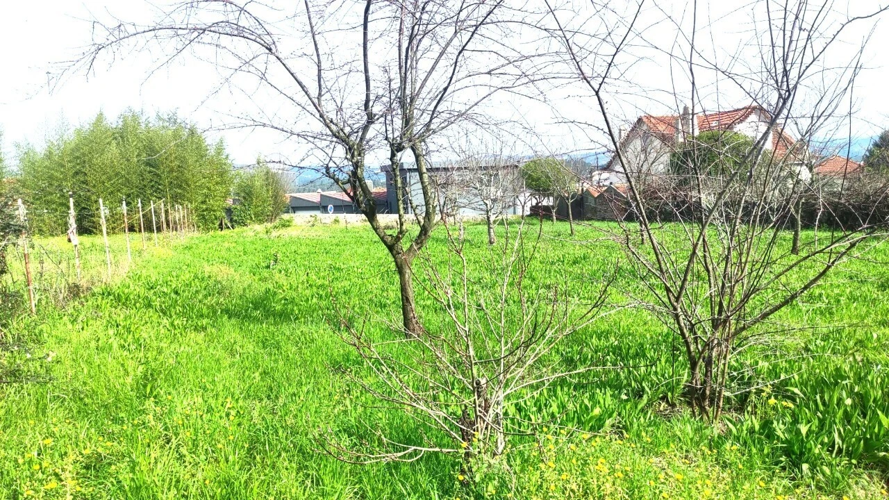 Terreno para Venda em São João da Madeira Foto 11