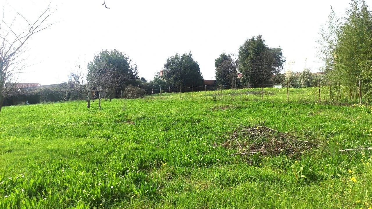 Terreno para Venda em São João da Madeira Foto 3