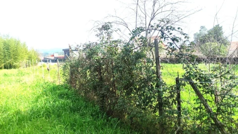 Terreno para Venda em São João da Madeira