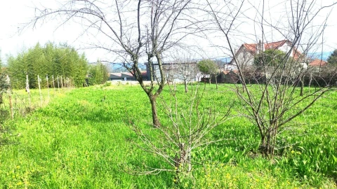 Terreno para Venda em São João da Madeira
