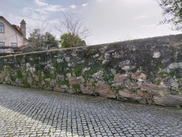 Terreno para Venda em São João da Madeira