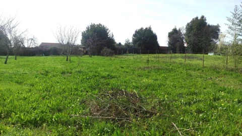 Terreno para Venda em São João da Madeira