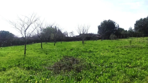Terreno para Venda em São João da Madeira