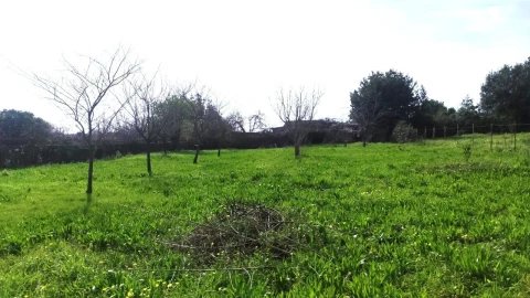 Terreno para Venda em São João da Madeira
