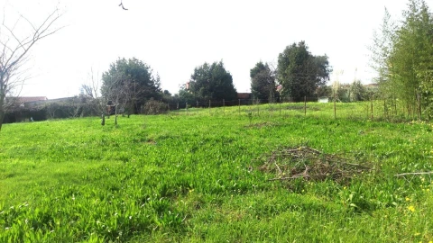 Terreno para Venda em São João da Madeira