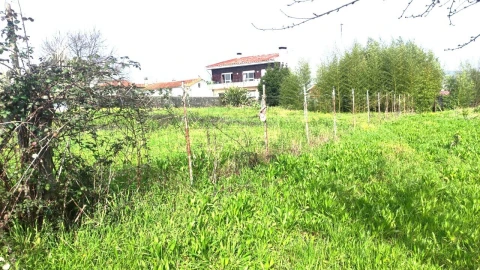 Terreno para Venda em São João da Madeira