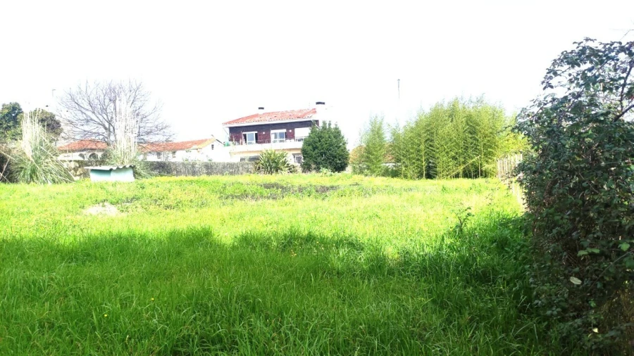 Terreno para Venda em São João da Madeira Foto 10