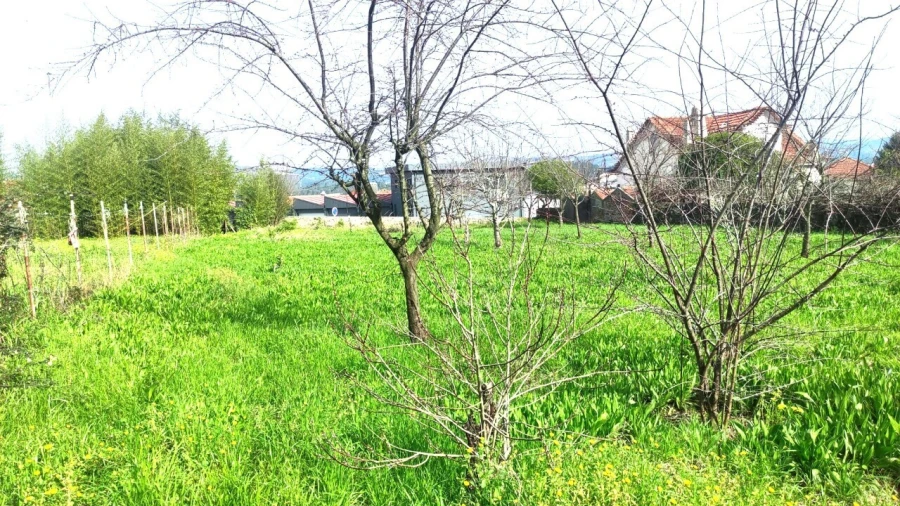 Terreno para Venda em São João da Madeira Foto 11