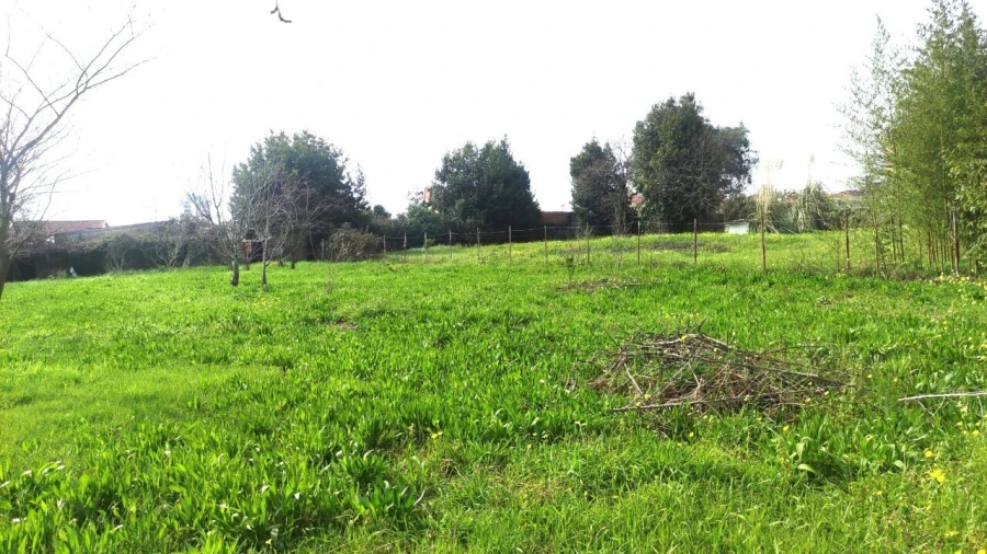 Terreno para Venda em São João da Madeira Foto 3