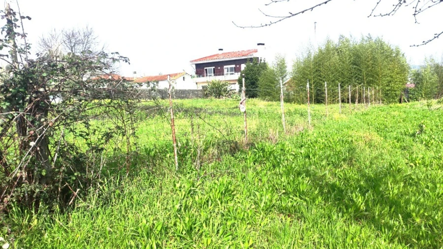 Terreno para Venda em São João da Madeira Foto 4