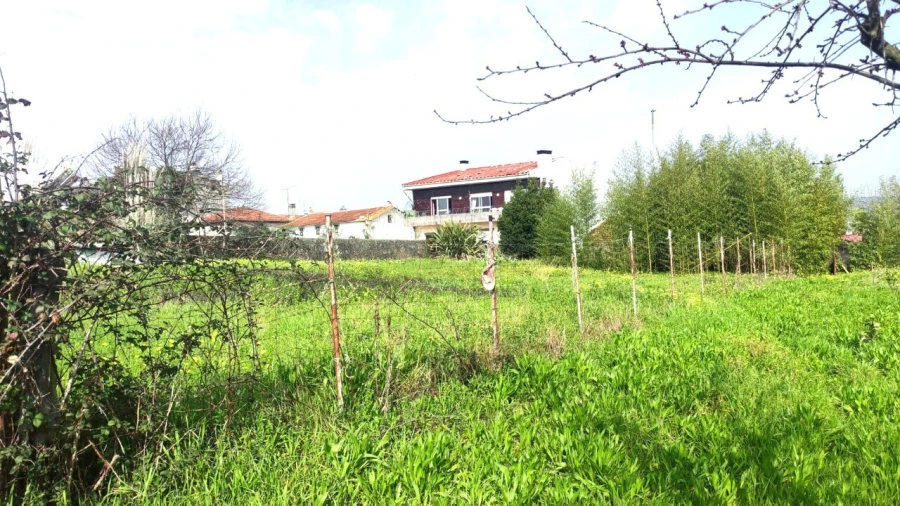 Terreno para Venda em São João da Madeira Foto 5