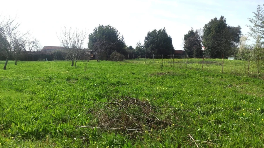 Terreno para Venda em São João da Madeira