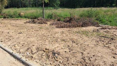 Terreno para Venda em Cesar