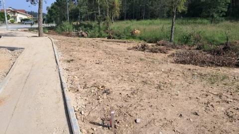 Terreno para Venda em Cesar