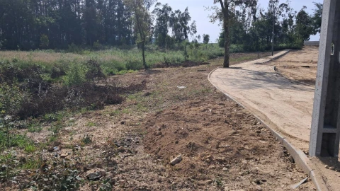 Terreno para Venda em Cesar