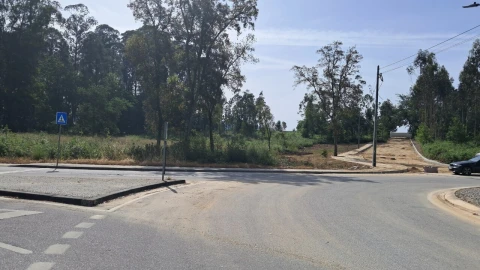 Terreno para Venda em Cesar