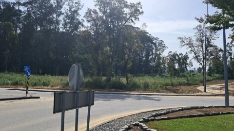 Terreno para Venda em Cesar
