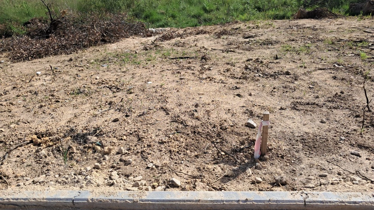 Terreno para Venda em Cesar Foto 11