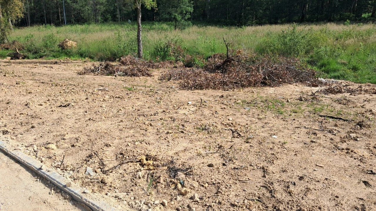 Terreno para Venda em Cesar Foto 12