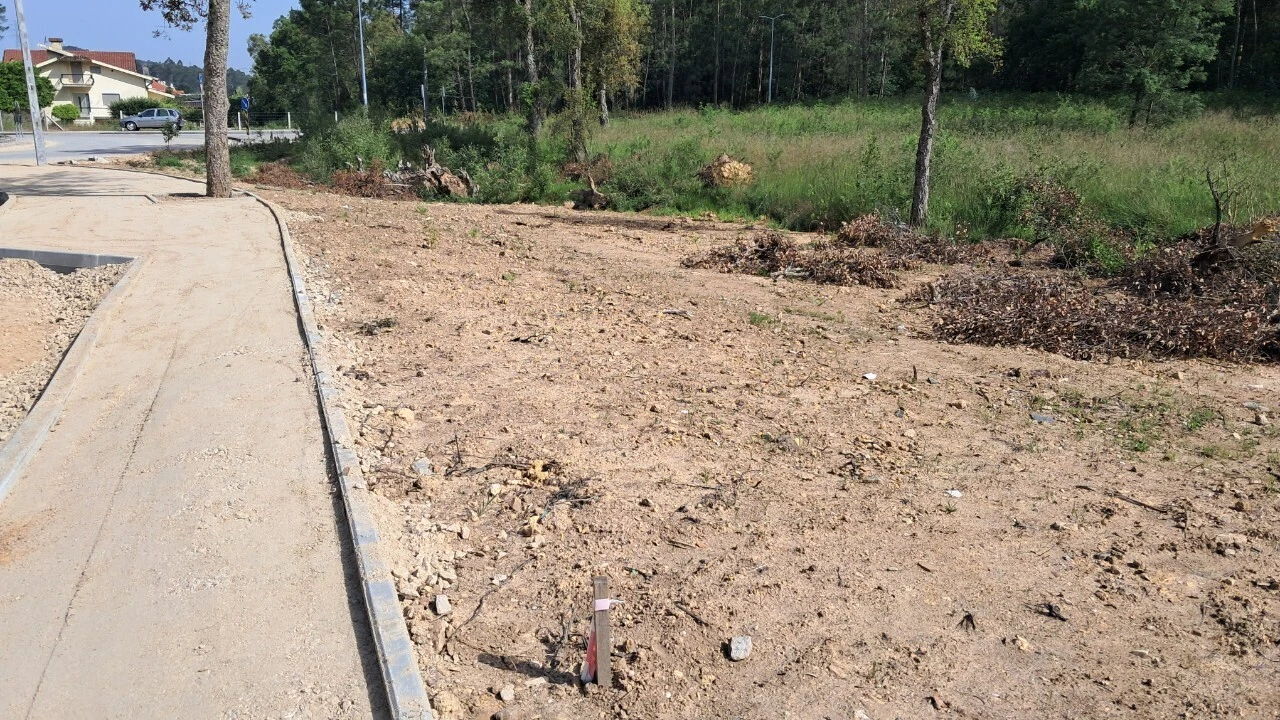 Terreno para Venda em Cesar Foto 2