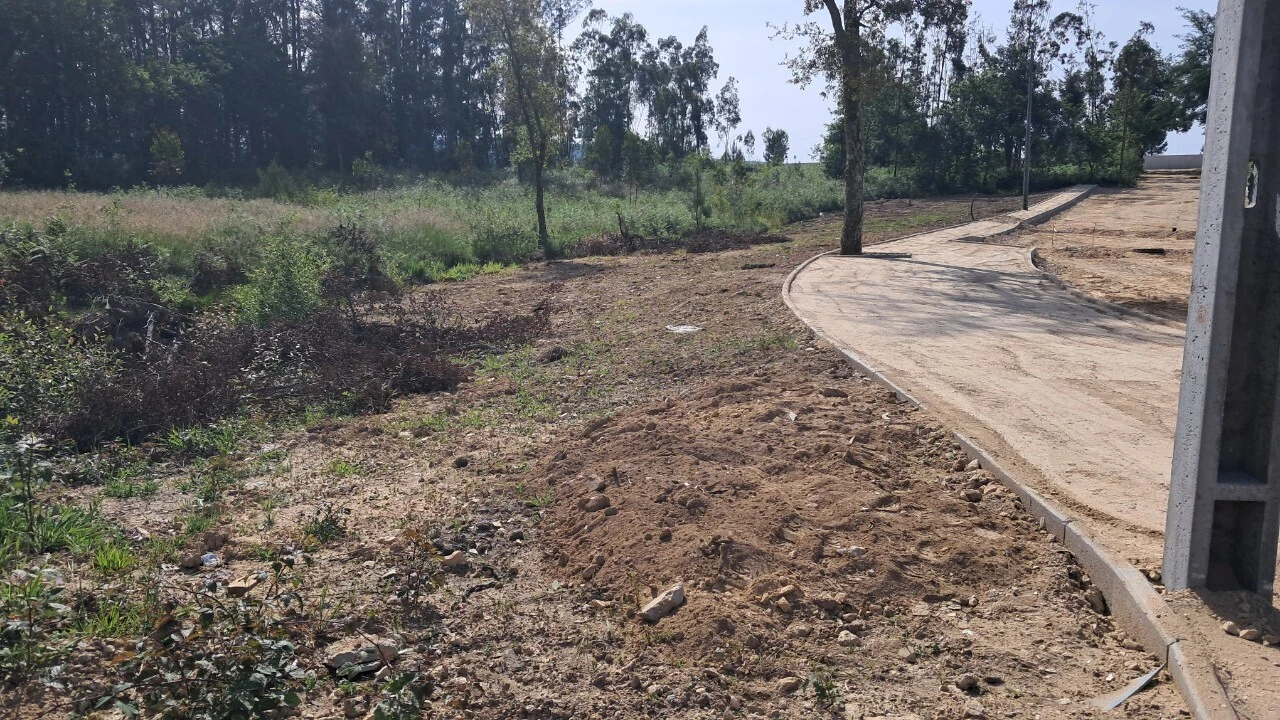 Terreno para Venda em Cesar Foto 3