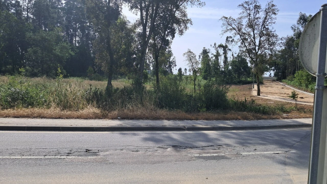 Terreno para Venda em Cesar Foto 4