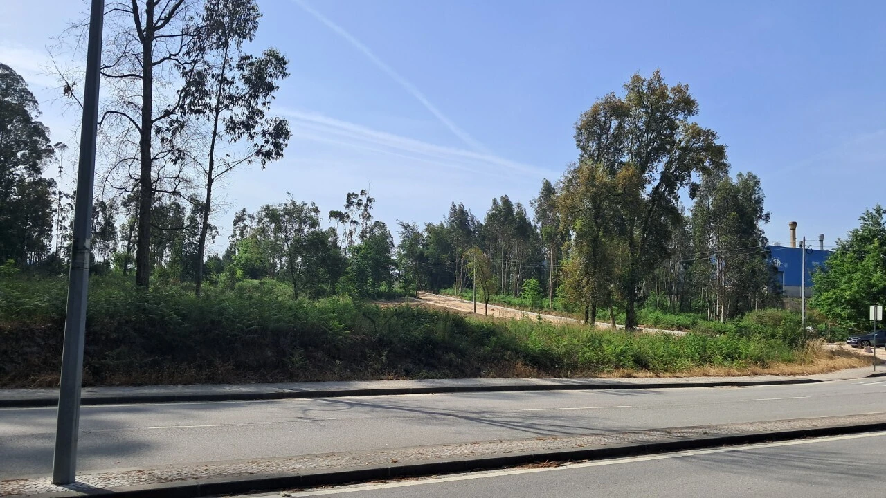 Terreno para Venda em Cesar Foto 5