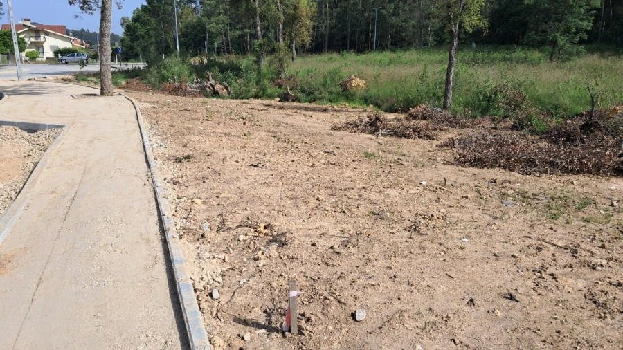 Terreno para Venda em Cesar Foto 2