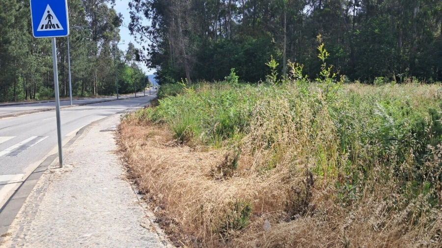 Terreno para Venda em Cesar Foto 9