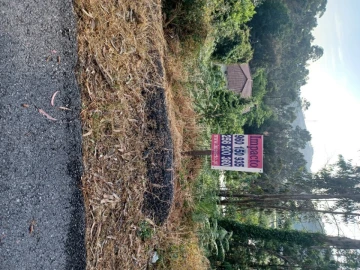 Terreno para Venda em Cesar