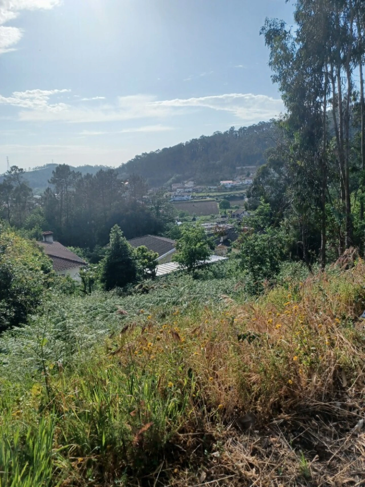 Terreno para Venda em Cesar Foto 1